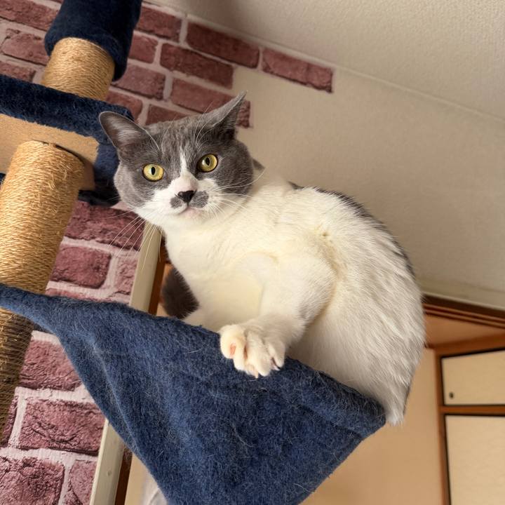 D10b0118 5650 42e3 bdd7 fbfdac503448 1762819748317