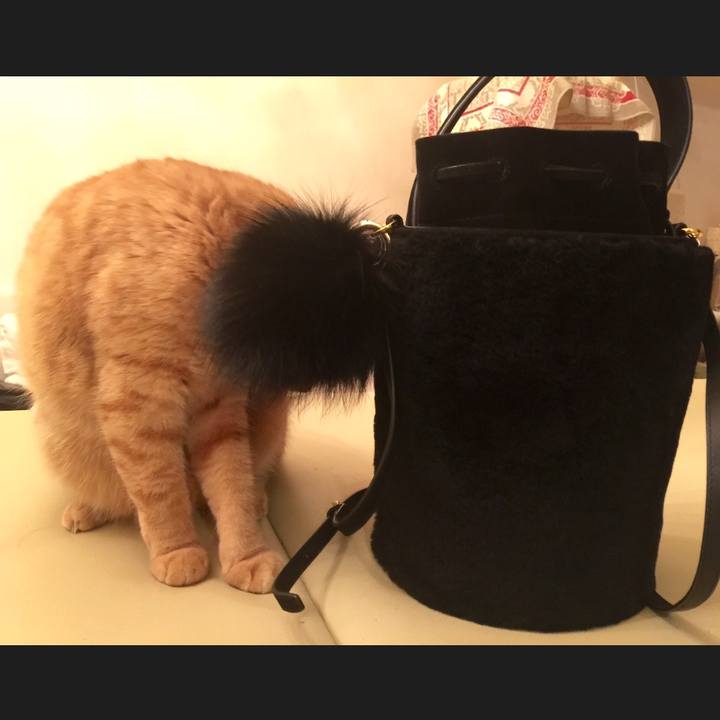 D10b1f55 07b4 4813 b48c 66a053f5de01 1512057384419