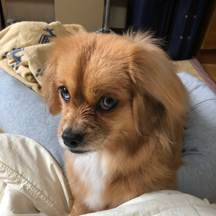 D10b3f6f 5cdb 4000 b939 5496815e67fb 1519529377955