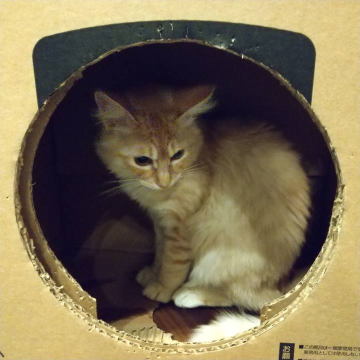 D10b52f2 996e 4746 91bb 7343b20ad649 1612131156976