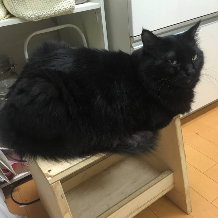 D10b58f6 2010 4bf8 bd1d 9f877c3aa179 1539508664474