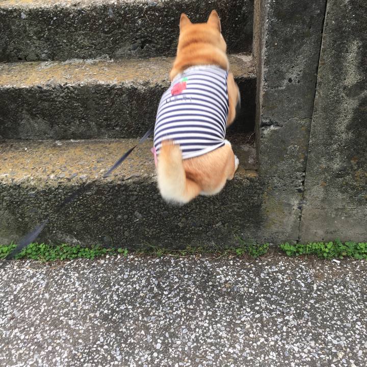 D10b8dd5 8e53 4450 b2fd 42bcaa5ee993 1539398526546