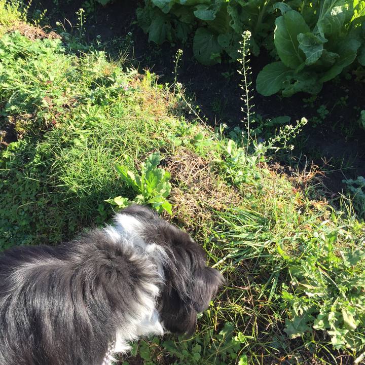 D10ba5ee 1208 4fa2 ab99 640778c8ee5d 1542157302370