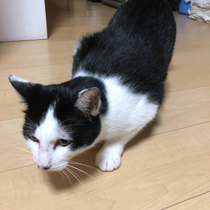 D10bdfa5 0040 4732 9608 c28487b42619 1570815689155