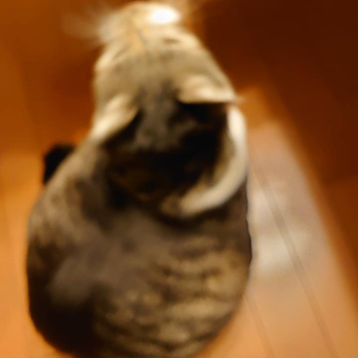 D10c1cb9 7138 4ea9 9ee9 e06f76240a4a 1749687923424