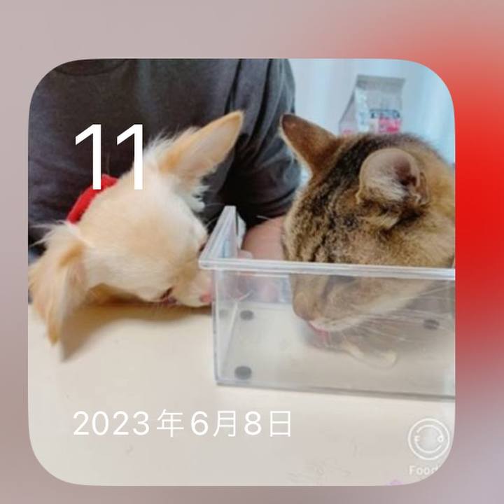 D10c1cc4 a96f 4701 9ee0 99b46ed34544 1718102321938