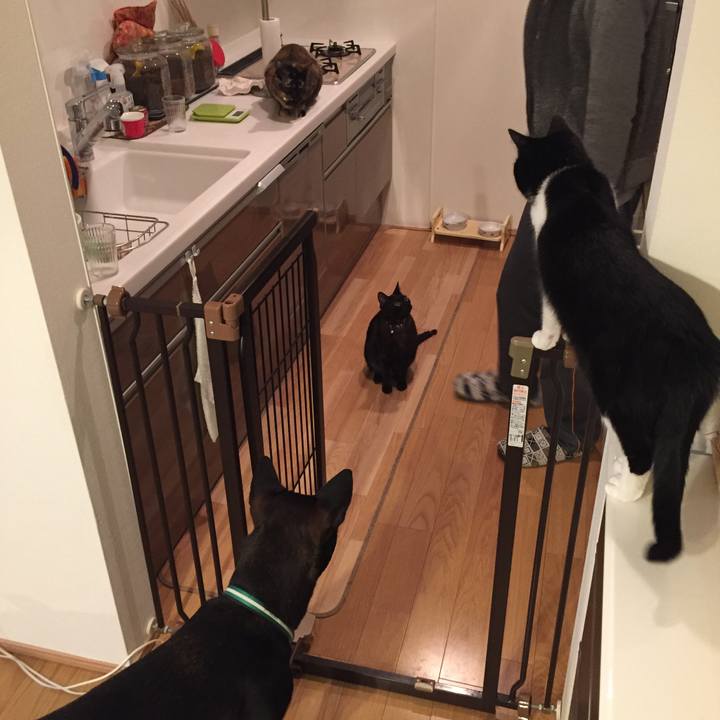 D10c3461 772a 4daa 9002 42d940e85a07 1509452443815