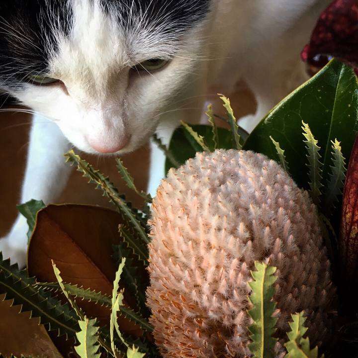 D10c4ae5 c60b 41ee a9ec 887554497c84 1528889674676