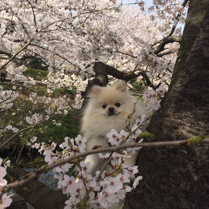 D10c7768 fb6c 4576 a4fe d08fc8c86736 1522458765275