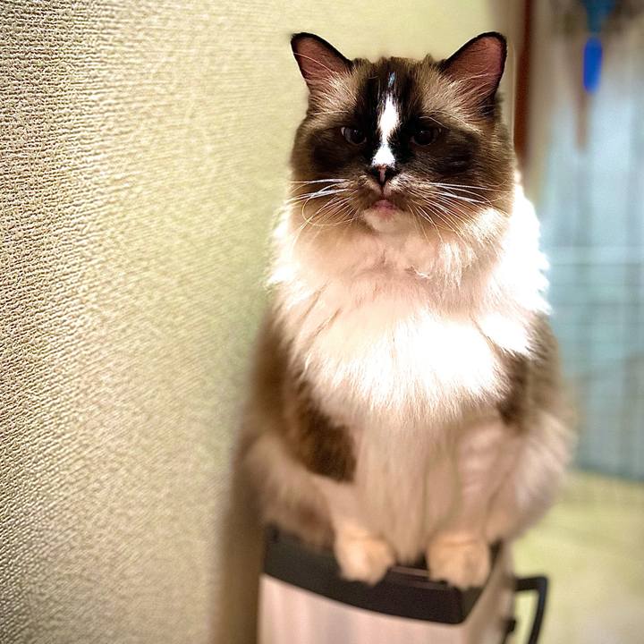 D10c87df 59f2 41d9 926d 9a375fecf74a 1697590619720