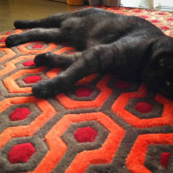 D10ca61f f97c 4dfc 9250 fea04037c6a1 1533375612557