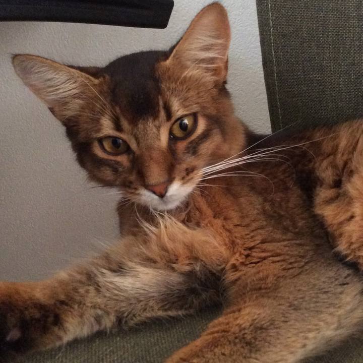 D10cfbcc 42c0 468f a1d3 5e621cfdaf0f 1568199666683