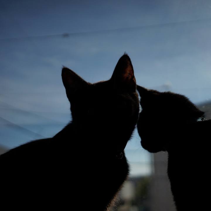 D10d4030 955c 4ae9 ac44 a5a19da0ee86 1512117101593