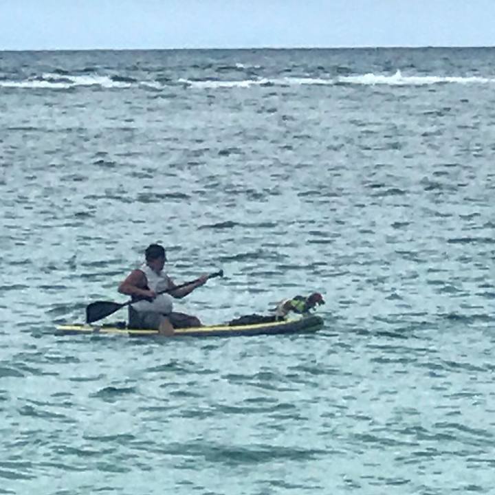 D10d475c b6c1 4faf af06 e882403298b0 1525581881721