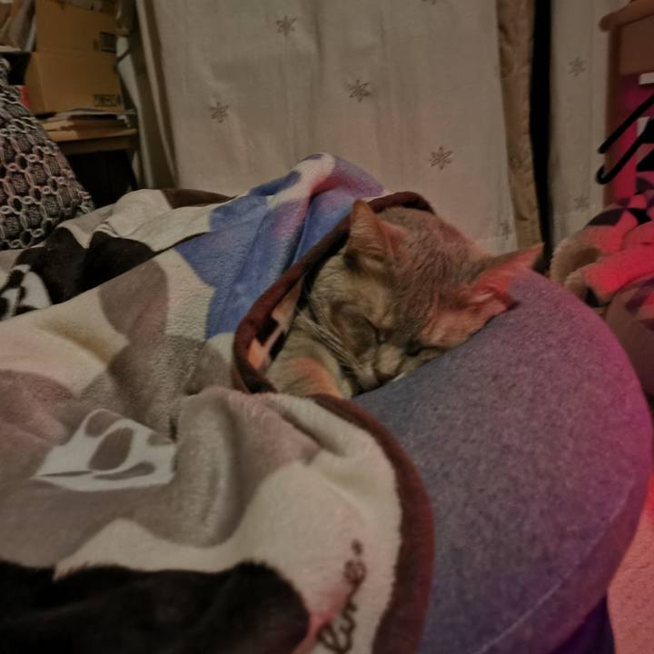 D10d4fc0 2880 4ddb 99bc 20629ddc4689 1634912804731