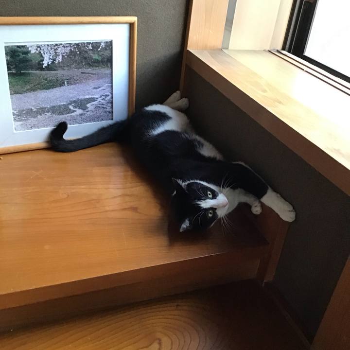 D10da5ac 19cd 4f02 bc8a 4c3402461e04 1694511110024