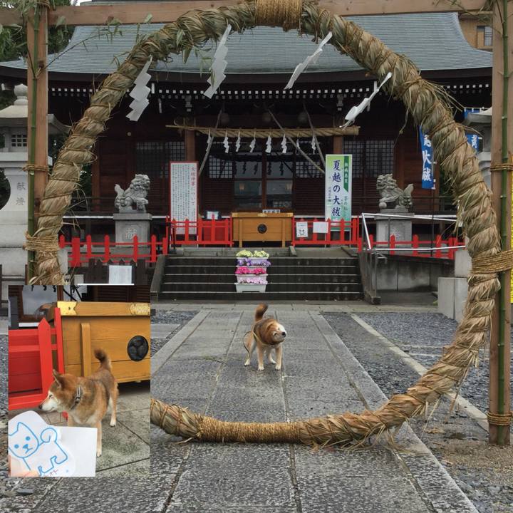 D10da636 07d4 4dd0 997a 8b43581d0804 1624937182897