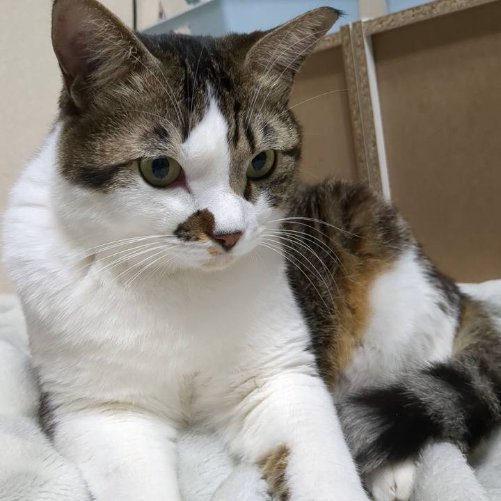 D10daef8 a778 4c03 bf9f 7da3b1057517 1671106416393