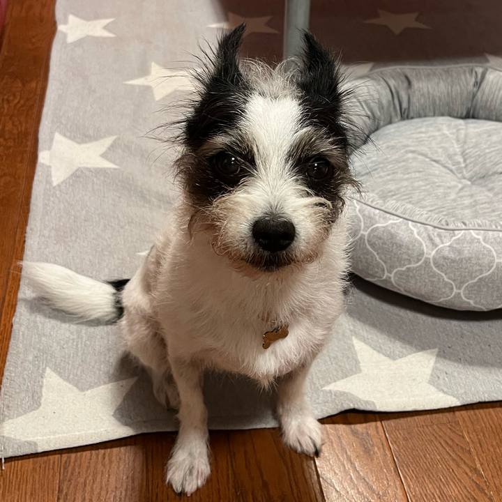 D10db9b0 946e 4bc4 8192 aa7a253658ab 1690206465178