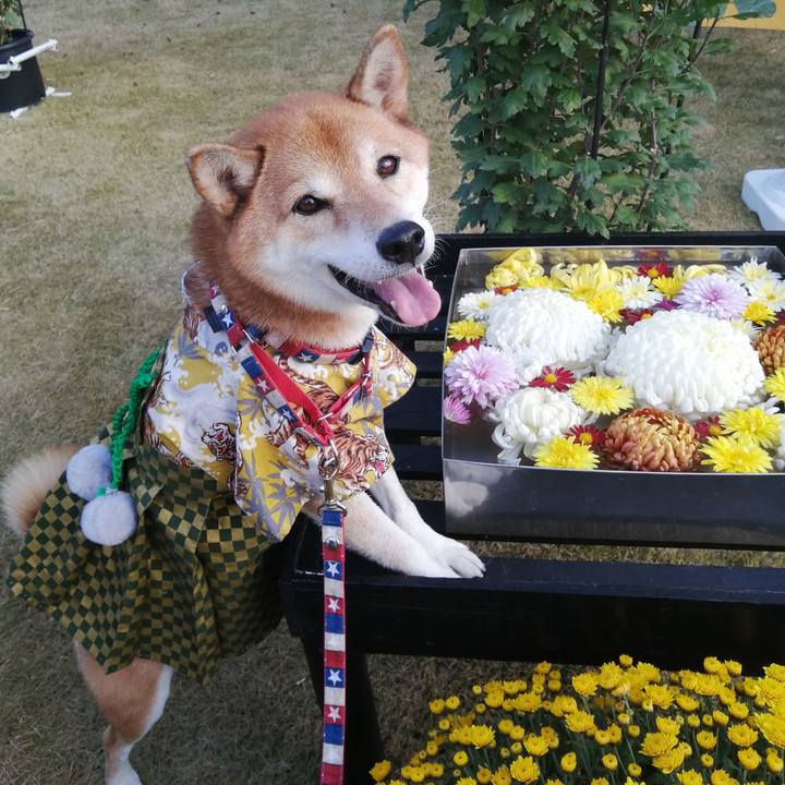 D10dda51 8169 4b0f 91d6 b2193c310fcb 1667964238788