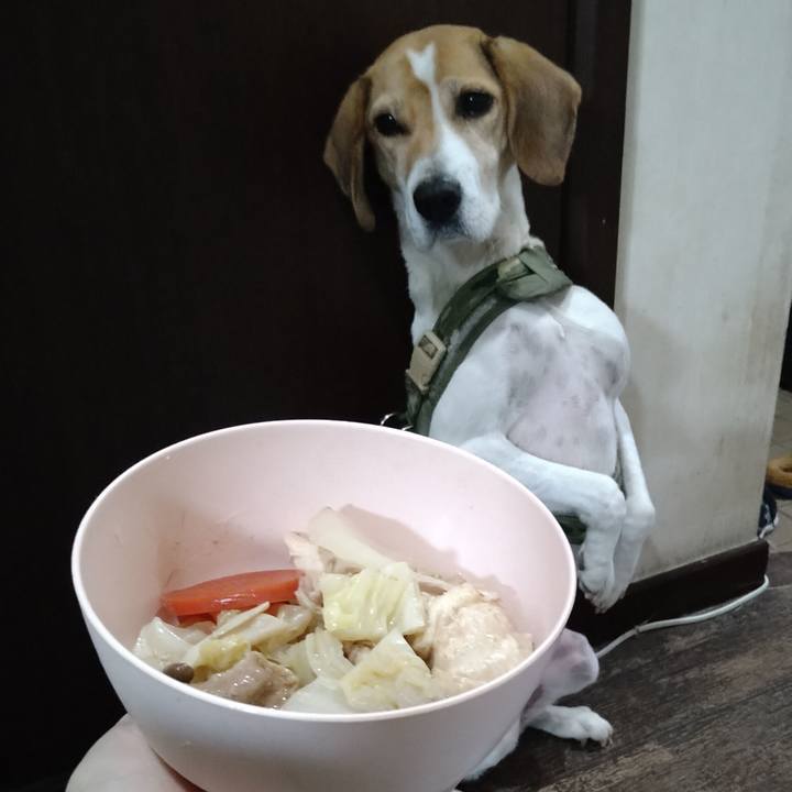 D10ddc10 216f 49e9 8f64 39457daf86e6 1671525578536