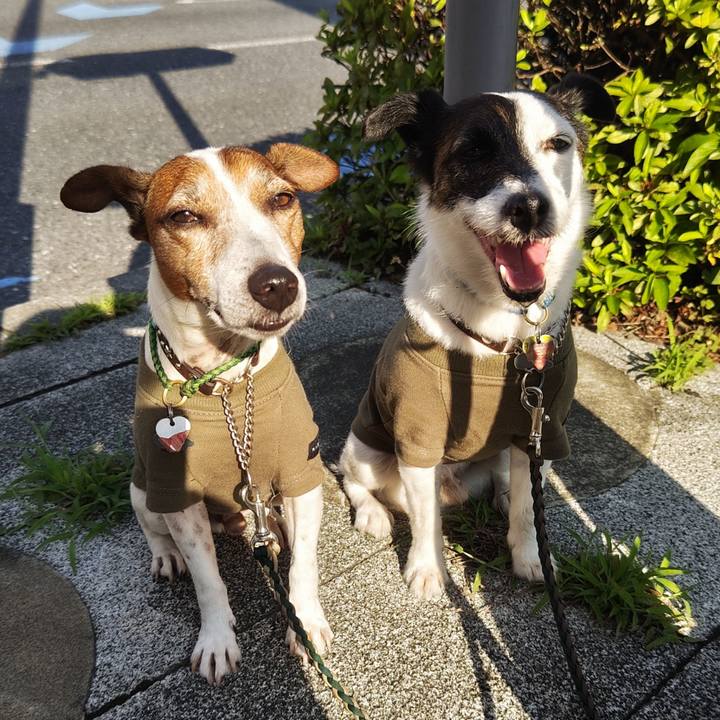 D10df701 0ed9 49f8 88e4 fd58caa50df3 1750113862176