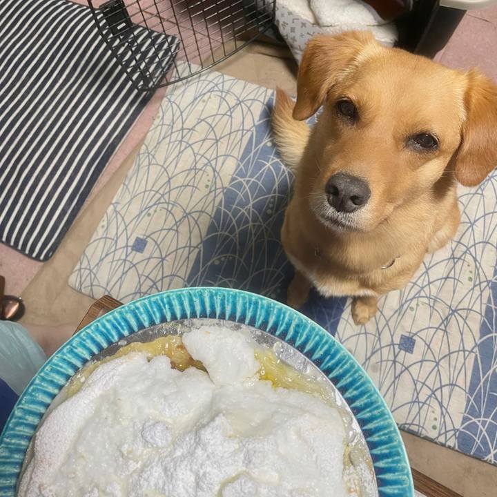 D10e0ff3 18e8 4ae7 9a14 7c2ab9670f74 1626989860276