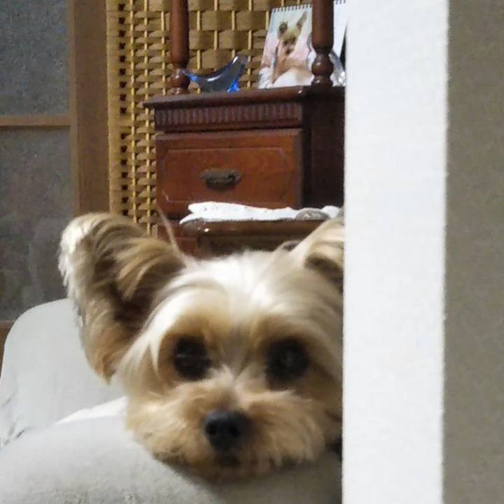 D10e378a bed4 4032 9d74 95f953bab992 1616393874961