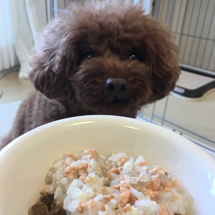 D10e4c7c e508 43f6 b41e d13f2069d58b 1536446104064