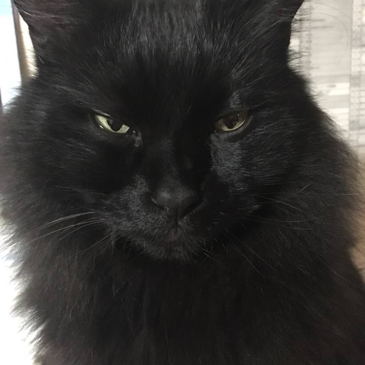 D10ec75d 7d82 495a 9378 75ebca84b244 1544605639771