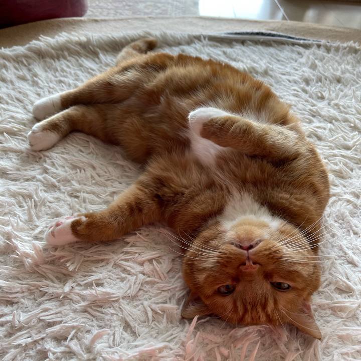 D10ed3b2 9a7f 412f 8352 dde7bb5e476d 1690081601460