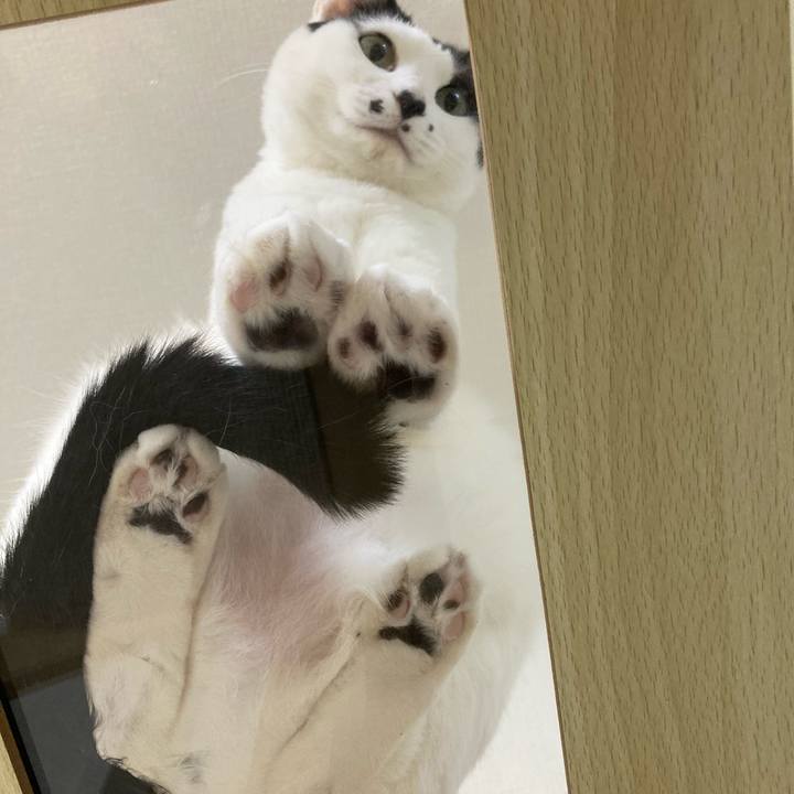 D10ef855 af58 46de a50d 1919eaefaedd 1771333156325