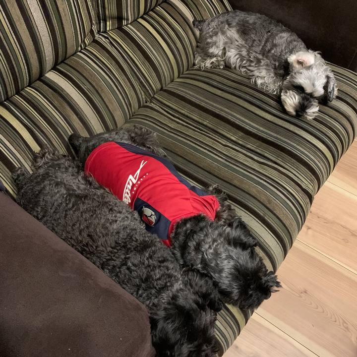 D10f4842 ecd7 47d7 acd7 4d67699e33bb 1605270108541