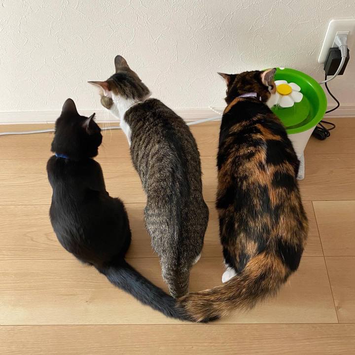 D10f76f1 9271 4bce a11c 26e7a12e347e 1700311747018