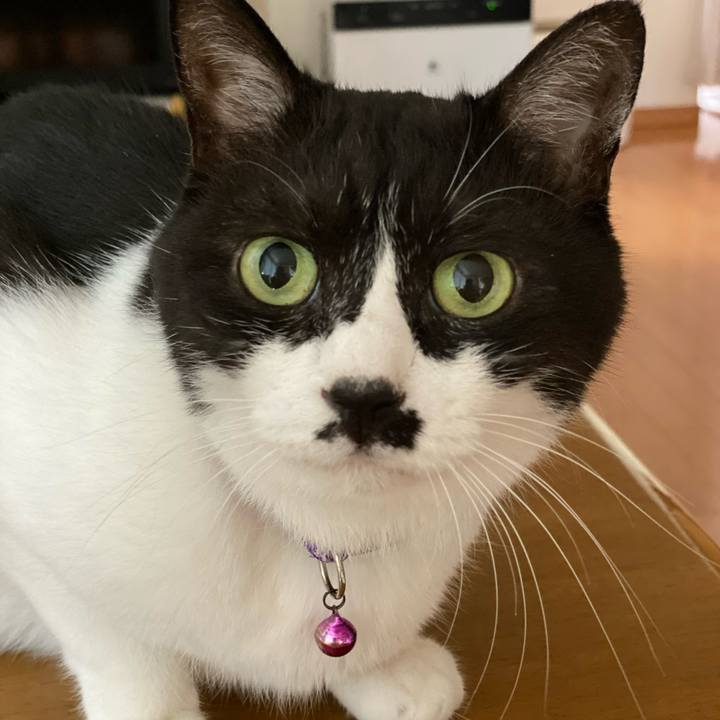 D10f7ff5 74d5 46e7 97c8 47d4b83cf70d 1630118504083