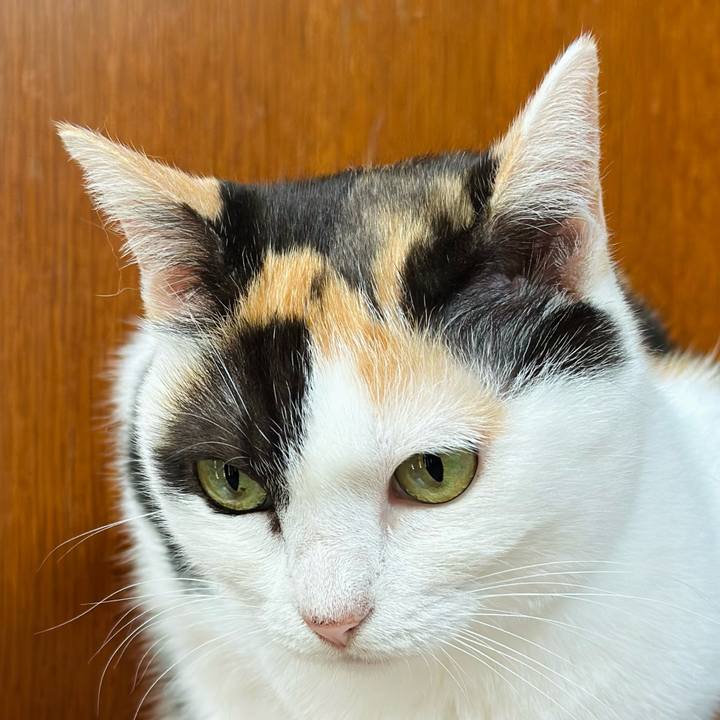 D10fb81c 1180 486a b73d 6229d59e1699 1663982126940