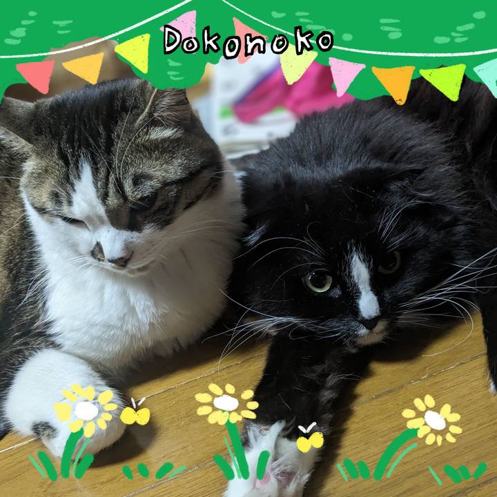 D10fd910 b1a2 4241 8c84 71fbf36839a0 1711164963671