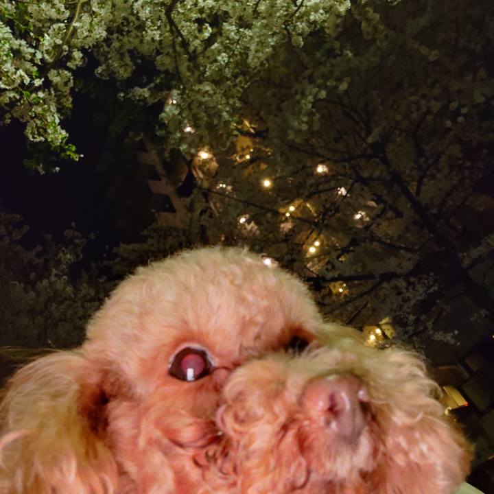 D10ffa55 0a16 4036 8f74 c9cbf5c5a176 1712488863071