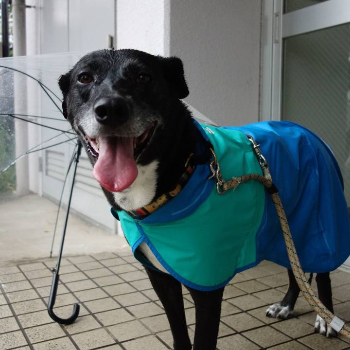 D11069bb 318f 46e4 80b6 b80be425741b 1723763485799