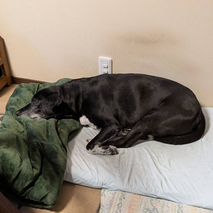 D1108a29 a2a3 4793 8fbe c12c02c97a26 1756416340897