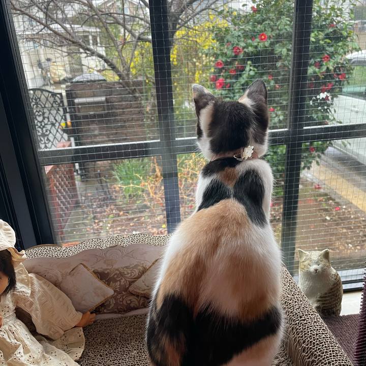 D110a8d5 6195 4cc6 9172 d222588af070 1679095115697