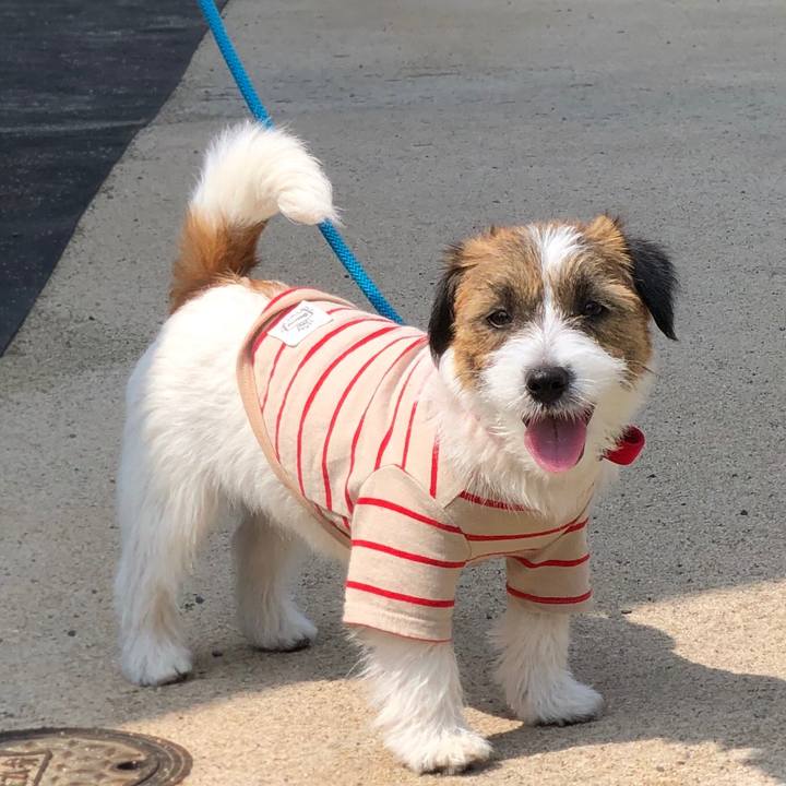 D110bb7a 3f29 428e b15f c10d67f13525 1589590210824