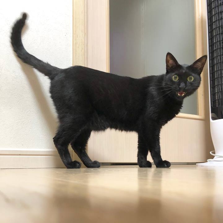 D111430f 580f 4acd 9af7 127cc109a010 1591362967238