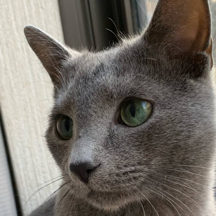 D111555b fbe3 45ef aee6 fb00e229a2e9 1578610522263