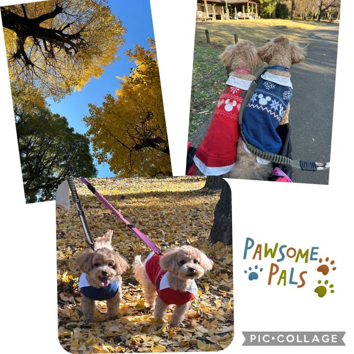 D1117378 c2ee 490b 8010 c65634f2ab34 1702194207931