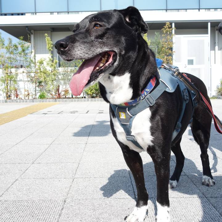 D11174ee 6a04 4d7f bfe7 71302ac1d0dc 1714266832115