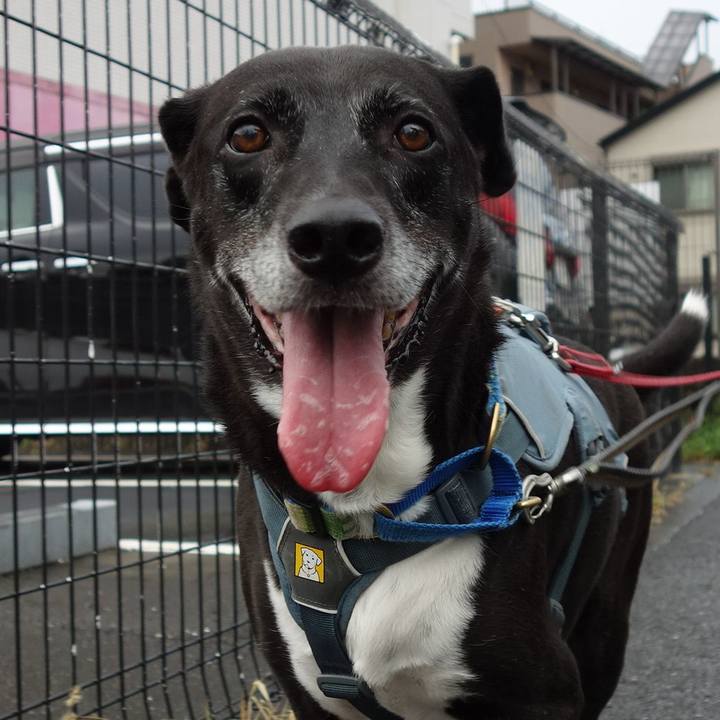 D11178b8 c4e6 4d7c 8a6e 5f99f60bf31d 1725062139150