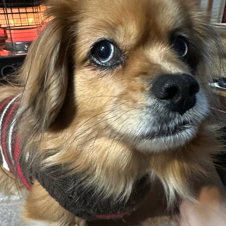 D1118d9a ea33 4c37 82ef f886abbc18bb 1707427703219