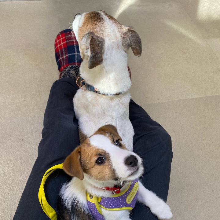 D1119915 2f27 4a5f 984d c664be9dd0c2 1612664468758