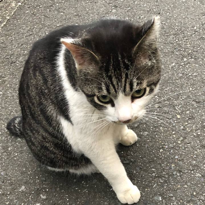 D111c828 e88e 4843 b53d 7e93cb2f9473 1556598177801